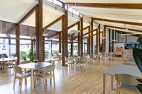 cafeen31