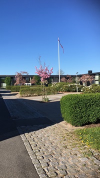 Gaardhave Sophienborg