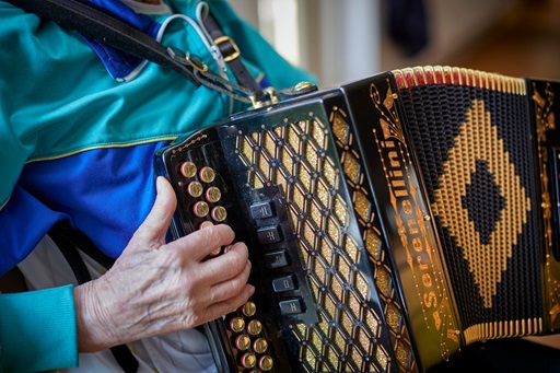 harmonika2
