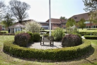Søglimt set fra haven