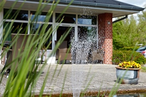 Springvand