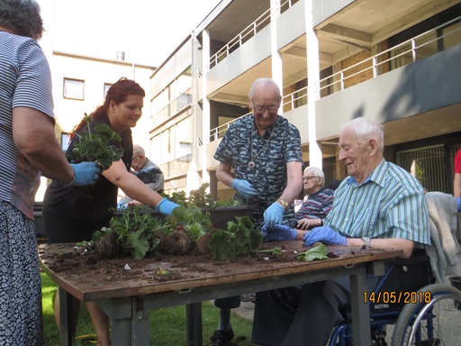 Plantning af sommerblomster