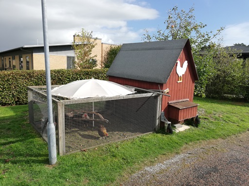Aktivitet 1