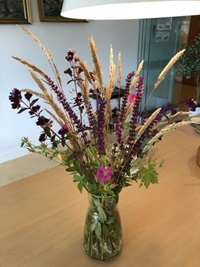 saltumplejecenterblomst21