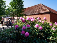 Galleri 1 - Fjordglimt