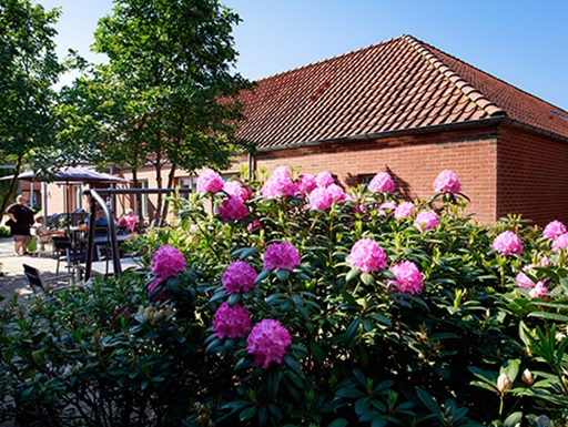 Galleri 1 - Fjordglimt