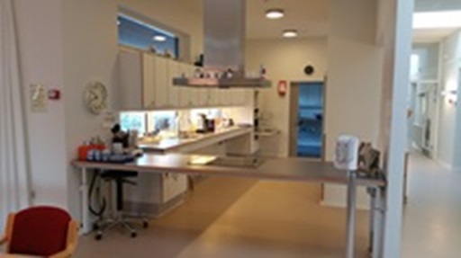 Klitrosens køkken