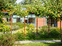 Have med frugttræer