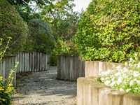 sansehave1