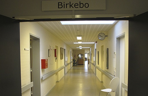 Billede